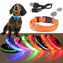 Coleira Led para Cachorros - Recarregável USB