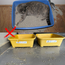 Tapete Higiênico para Gatos