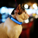 Coleira Led para Cachorros - Recarregável USB