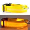 Coleira Led para Cachorros - Recarregável USB
