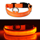 Coleira Led para Cachorros - Recarregável USB